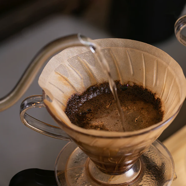 Disposable Coffee Filters
