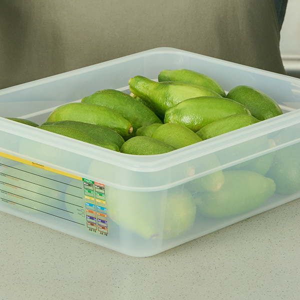 Plastic Food Pans