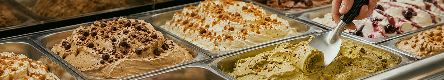 Scoop Haus