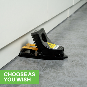 CHOOSE AS YOU WISH