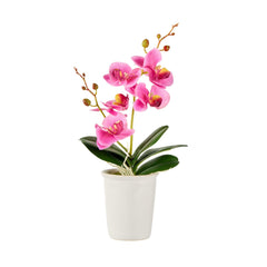 Fiore Purple Plastic Orchid in Porcelain Pot - 5 Blooms - 4