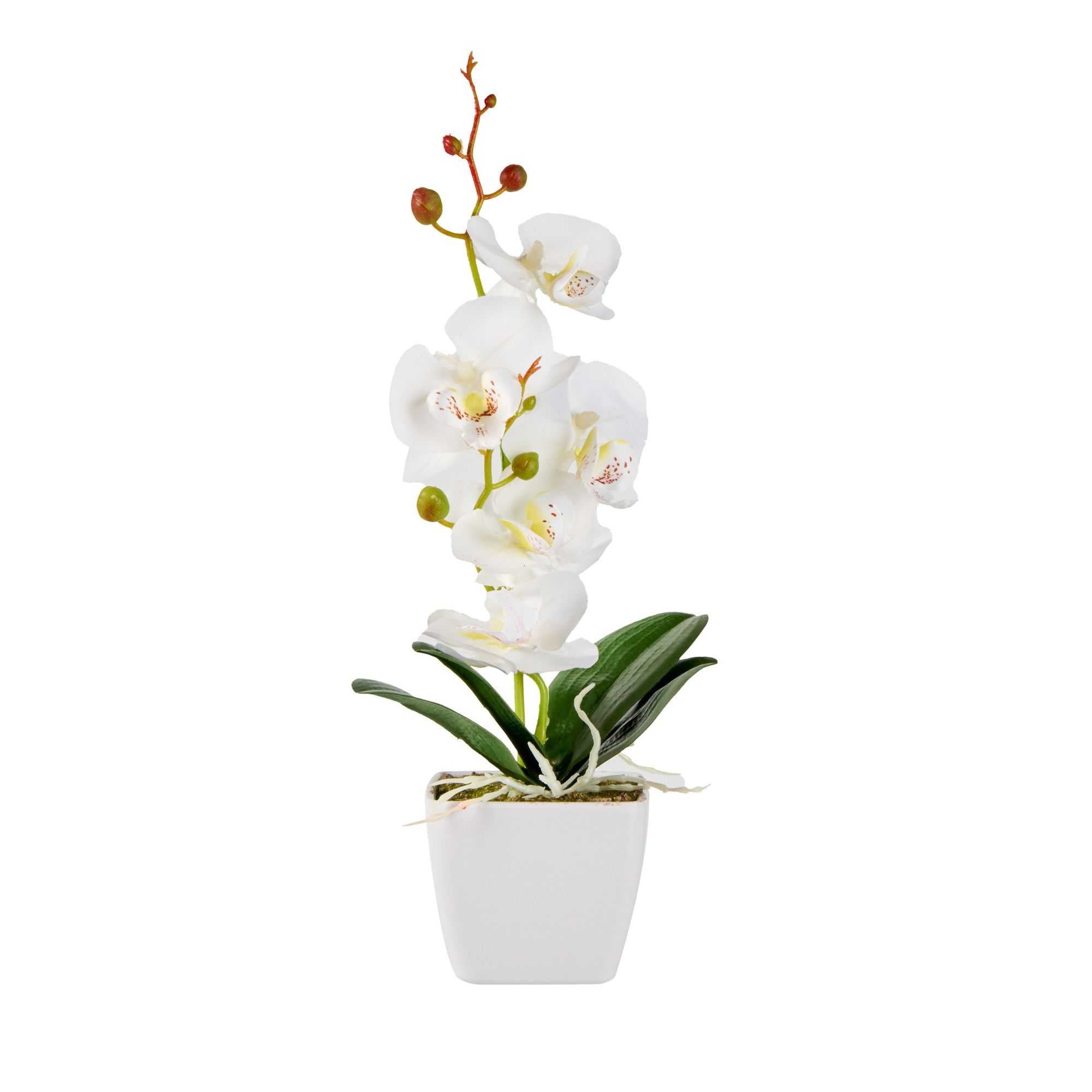 Fiore White Plastic Orchid in Plastic Pot - 5 blooms - 4" x 4" x 13" - 1 count box