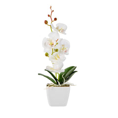 Fiore White Plastic Orchid in Plastic Pot - 5 blooms - 4