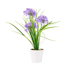 Fiore Violet Plastic Violet Allium in Plastic Pot - 4