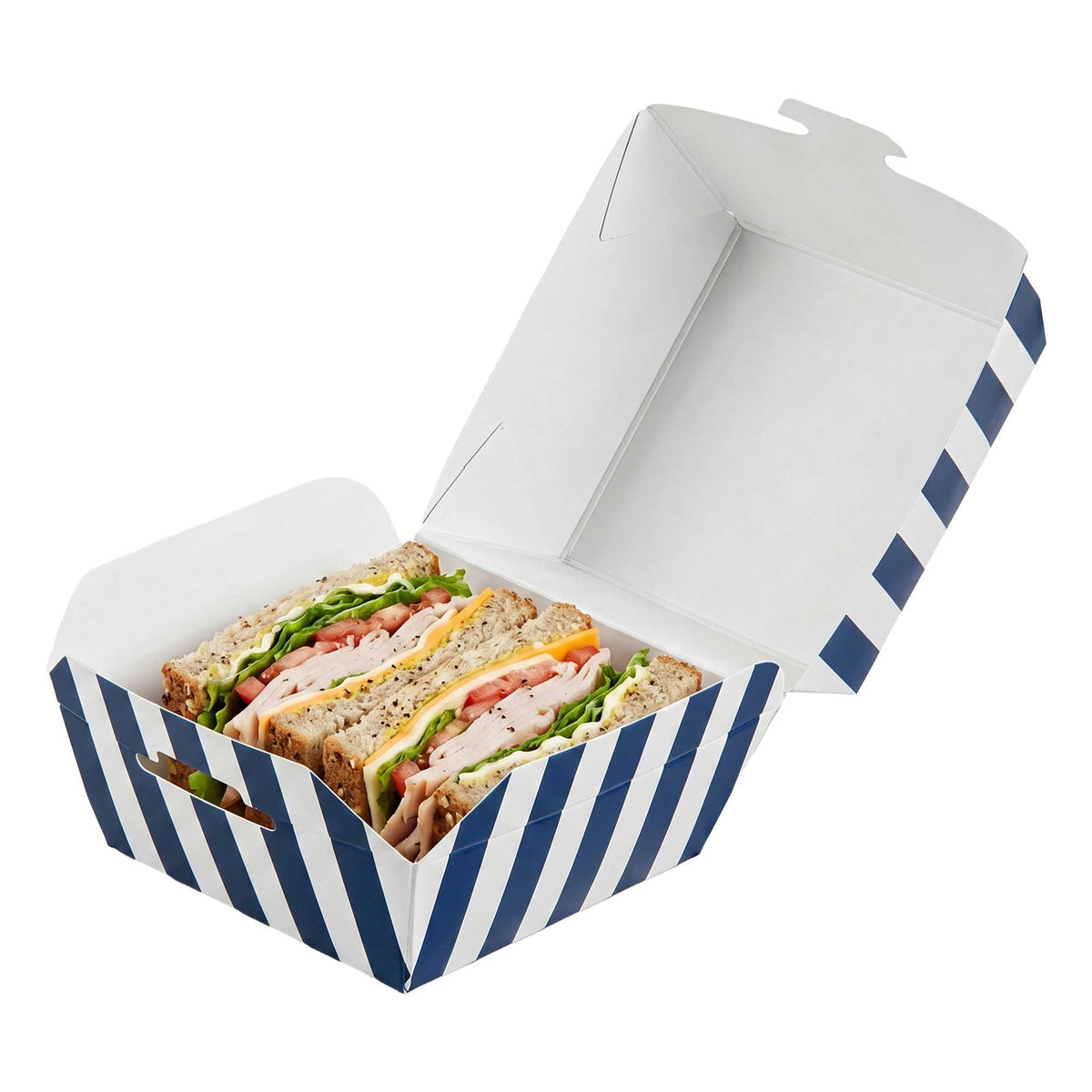 Bio Tek Blue and White Stripe Paper Slider Box - 2 1/2" x 2 1/2" x 2" - 100 count box