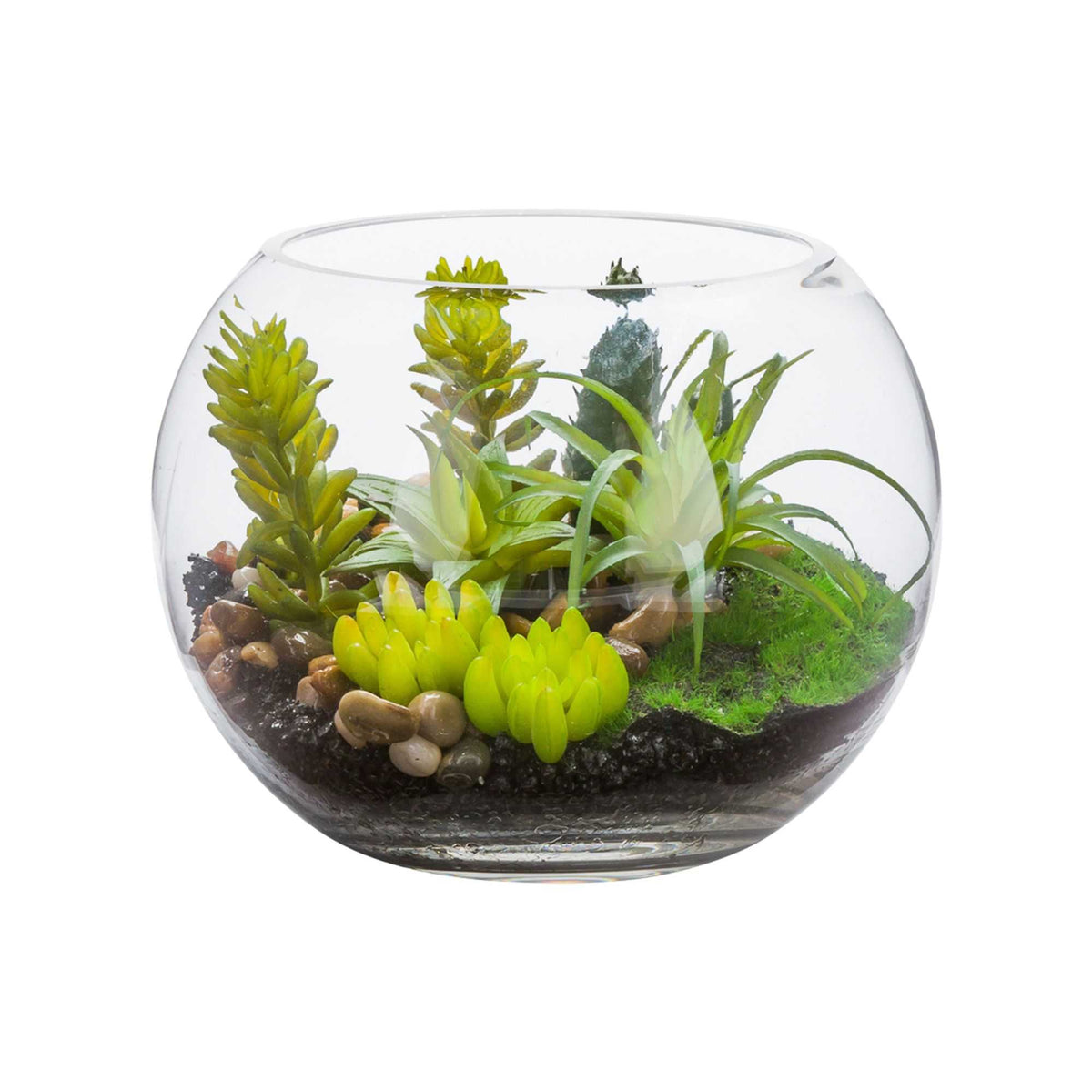 Plastic Table Art Faux Succulent Arrangement - Fishbowl Glass Terrarium - 7" x 7" x 5 1/2" - 1 count box