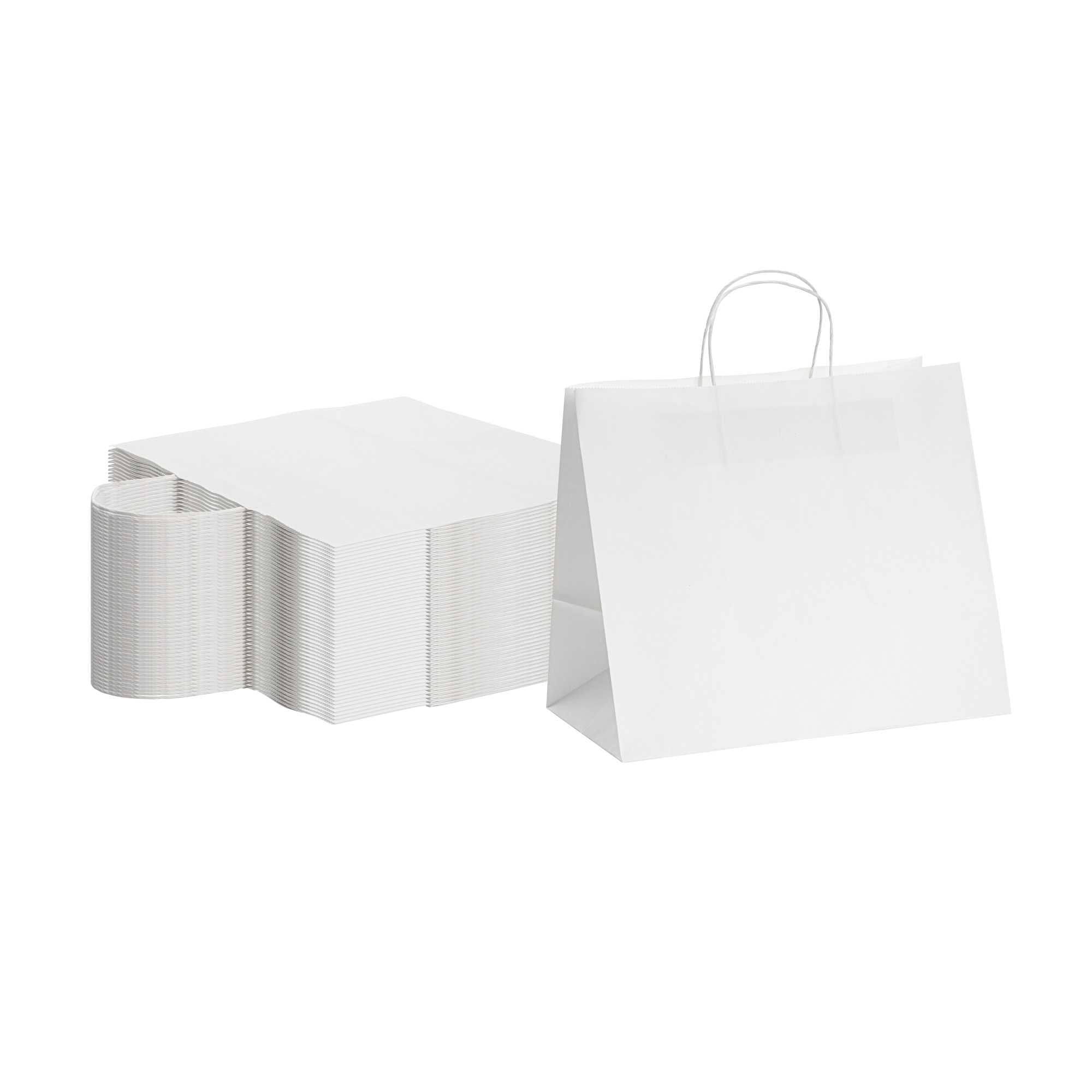 Saving Nature White Paper Retail Bag - with Handles - 12 1/2" x 8 1/4" x 11 1/4" - 100 count box
