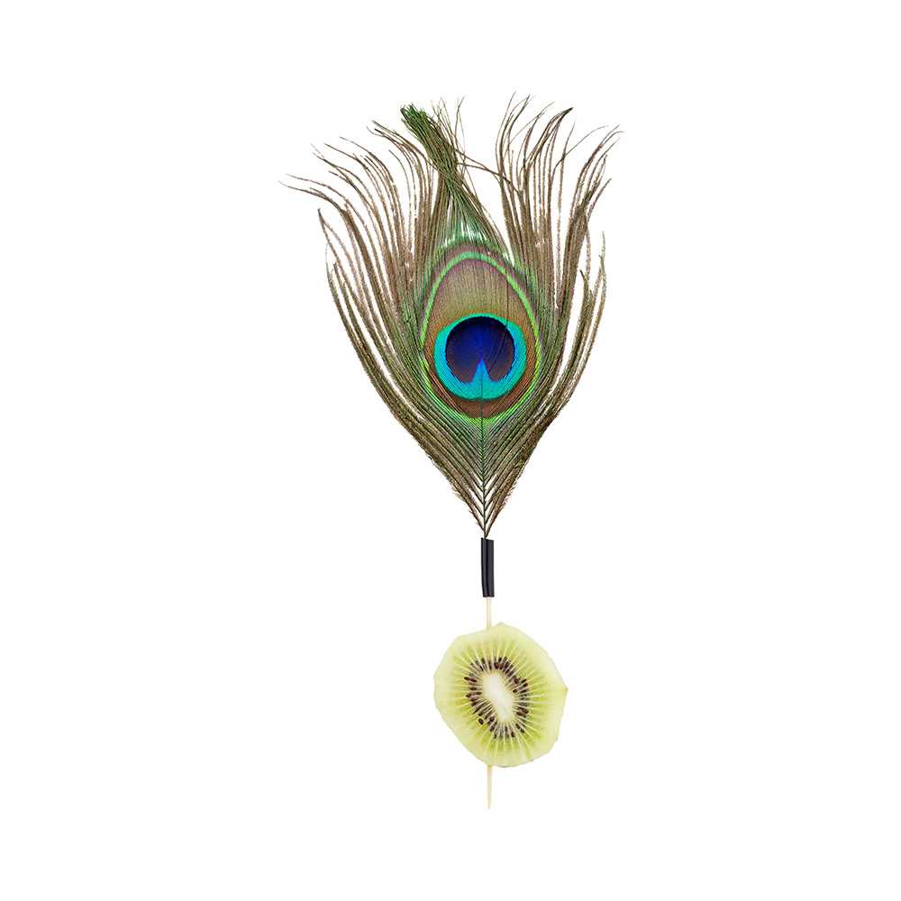 Pixy Natural Bamboo Peacock Eye Skewer - 6" - 500 count box
