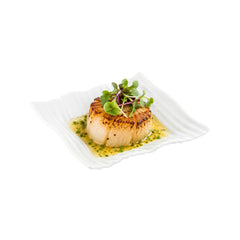 Chef 101 Rectangle White Porcelain Piega Plate - 4