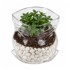 Vetri 22 oz Round Clear Glass Unzipped Bag Bowl - 4 3/4