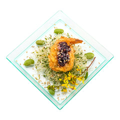 Mini Serve Square Seagreen Plastic Medium Modern Plate - 5