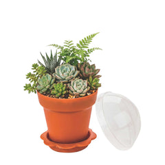 Mini Serve 6 oz Terracotta Plastic Mini Flower Pot Cup - with Lid - 3