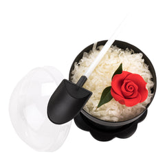 Mini Serve Black and White Plastic Flower Pot Shovel Spoon - 5