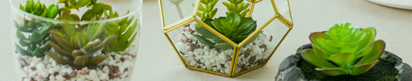 Table Decor and Displays