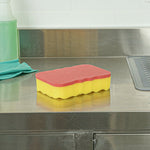 scrubbers_and_sponges_most_popular_combination_pads.jpg