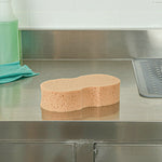 scrubbers_and_sponges_most_popular_sponges.jpg